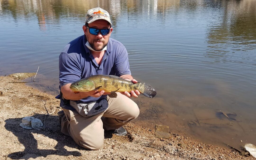 Hoplias serranas…tarariras con acento cordobés